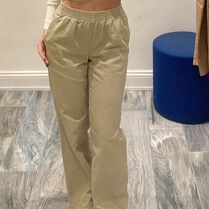 Aritzia pants